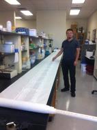 It's not just a tree, but a ancient book in scroll