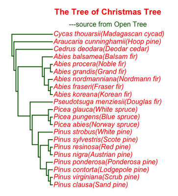 Tree of Xsmas Trees