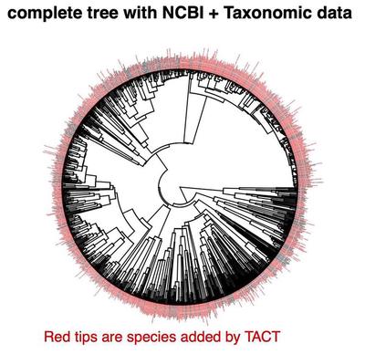 Vitales Tacted Tree1