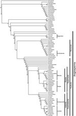 JSE: Tree of life for the genera of Chinese vascular plants