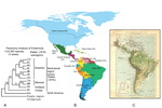 Phytotaxa: Moving from modern toward post-modern science: comment on “An integrated assessment of the vascular plants of the Americas”
