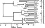 JSE: A revision of Elaeagnus L. (Elaeagnaceae) in mainland China