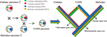 Deep phylogenetic incongruence in the angiosperm clade Rosidae