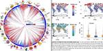 Recent accelerated diversification in rosids occurred outside the tropics