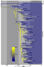 Syst. Biol.: The implications of incongruence between gene tree and species tree topologies for divergence time estimation